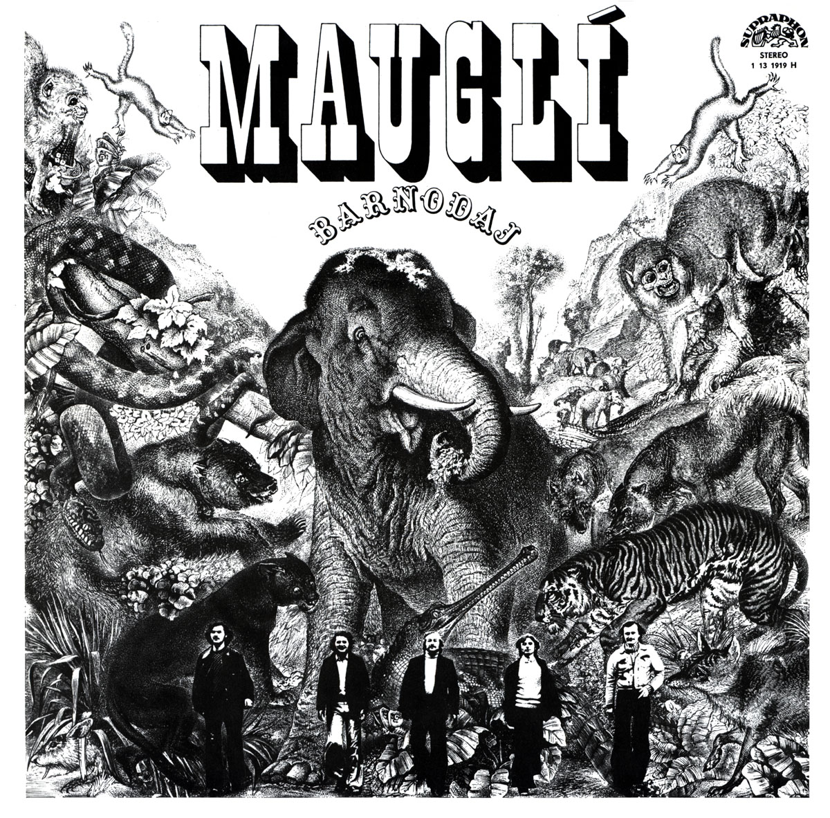 BARNODAJ - MAUGL 1