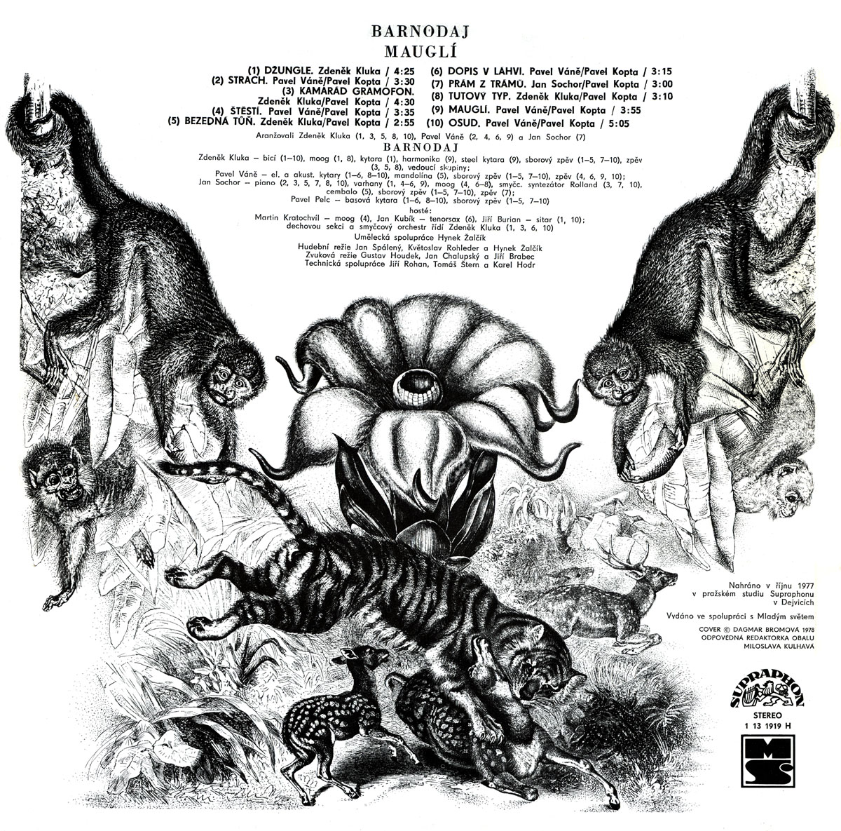 BARNODAJ - MAUGL 2