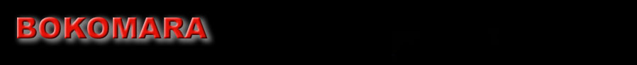 Logo BOKOMARA