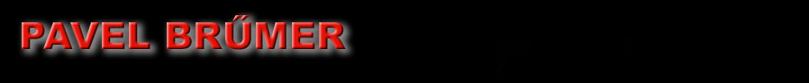 Logo PAVEL BRÜMER