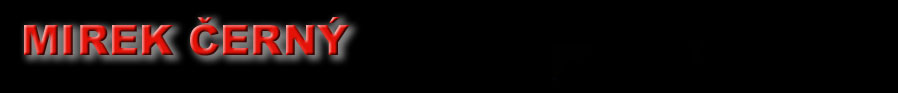 Logo MIREK ERN