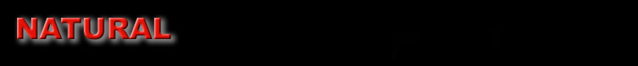 Logo NATURAL