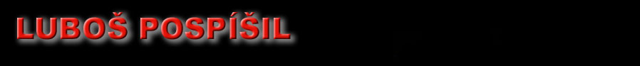 Logo LUBO POSP͊IL