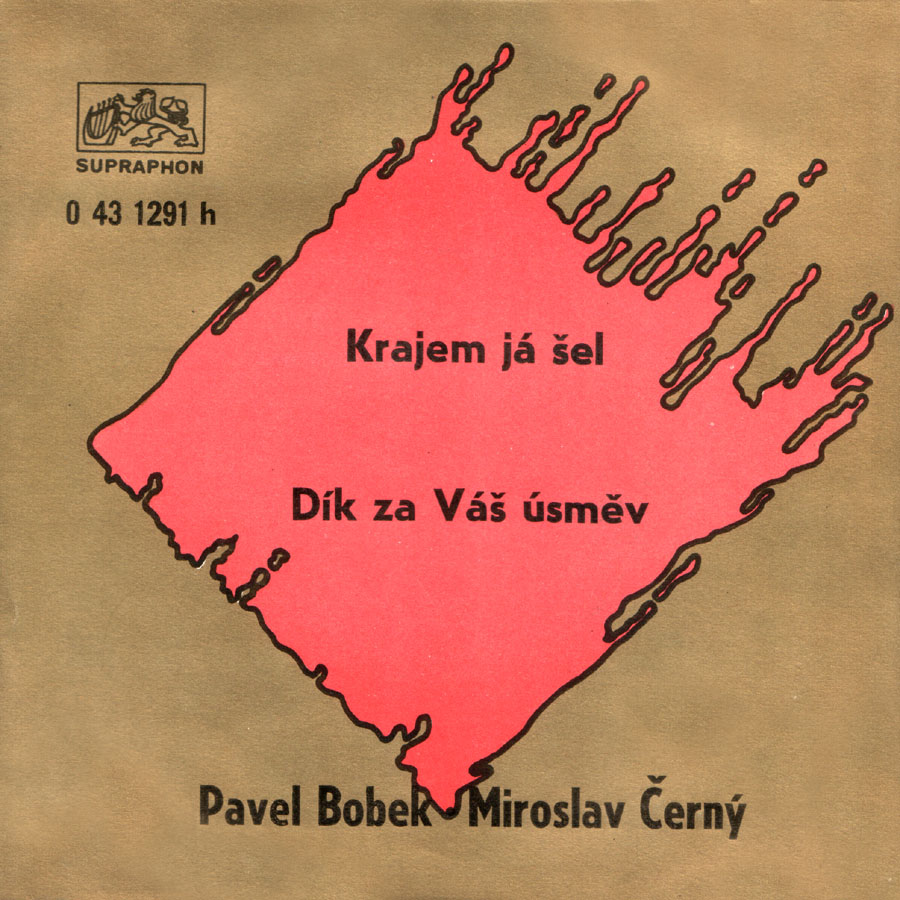 Mirek ern - Dk za v smv